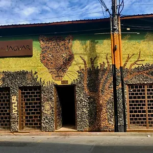 Refugio Del Jaguar Medellín
